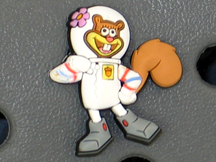 Crocs & Jibbitz Sandy Cheeks White/Brown