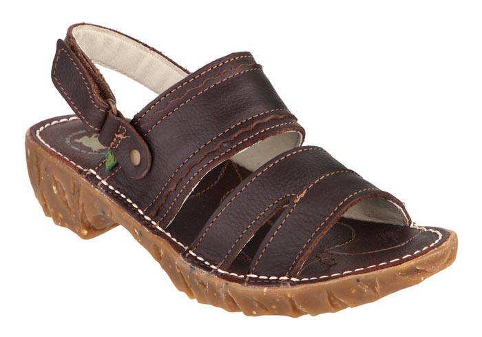 El Naturalista 161 Brown