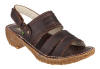 El Naturalista 161 Brown