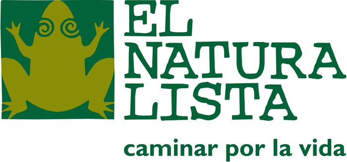 el naturalista shoes and el naturalista boots from the factory
